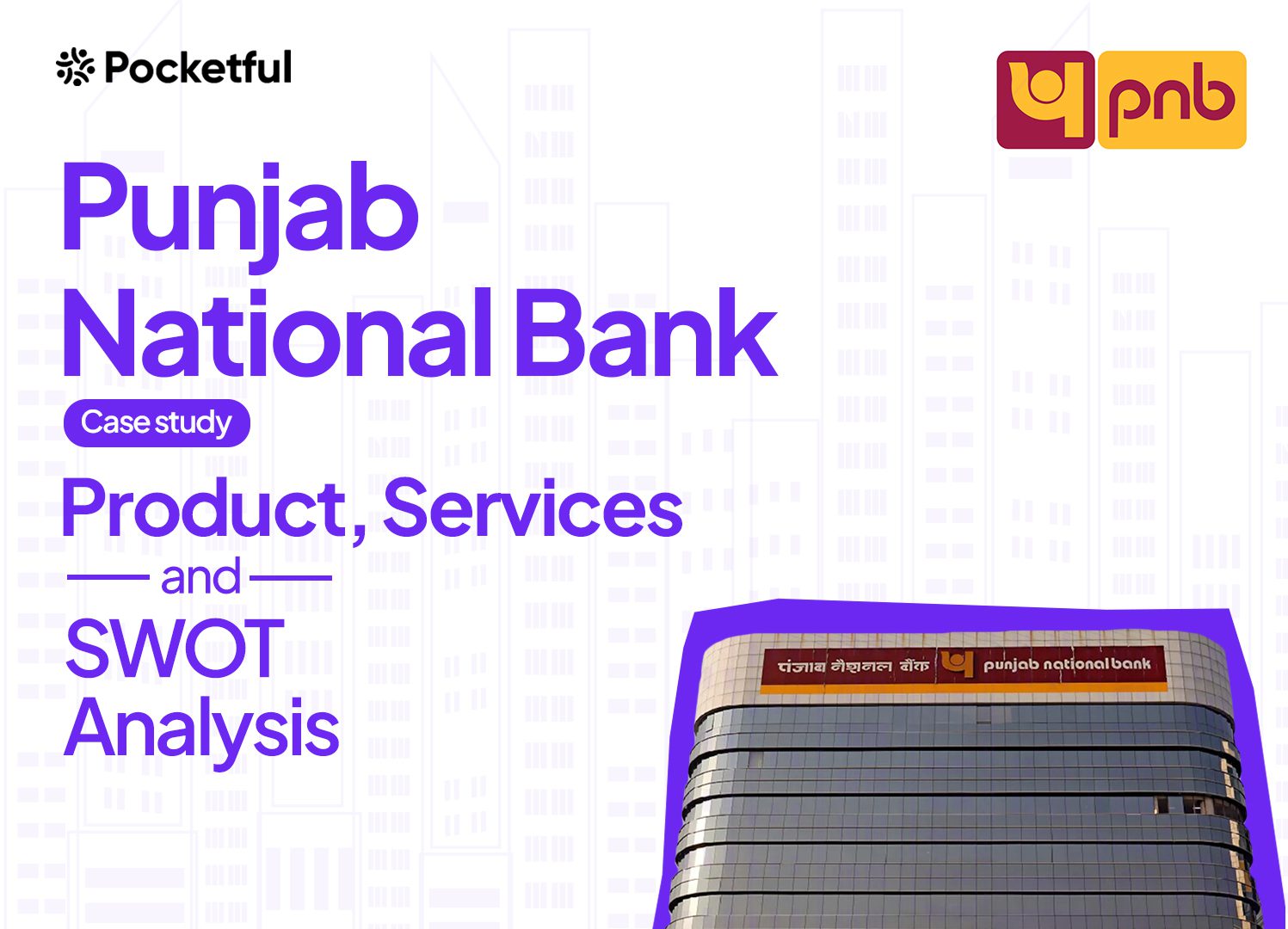 punjab national bank case study