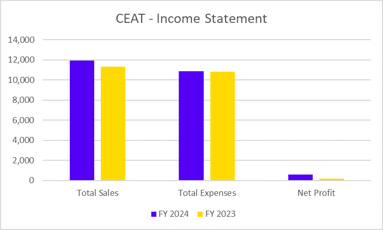 CEAT Income Statement