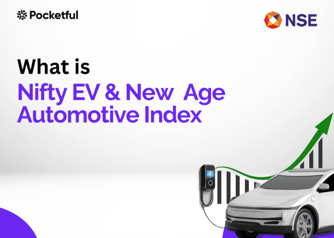 What is the NIFTY EV & New Age Automotive Index?