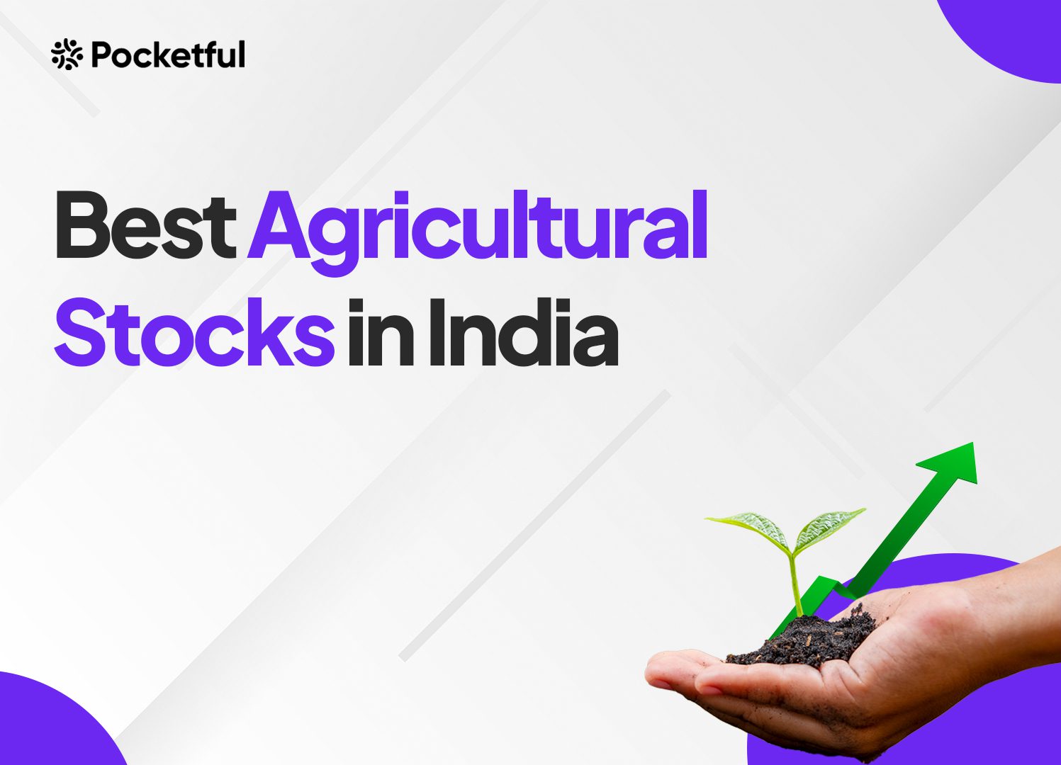 List of Best Agricultural Stocks in India 2024