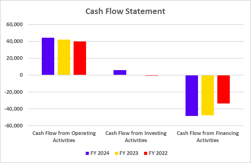 TCS Cash Flow Statement