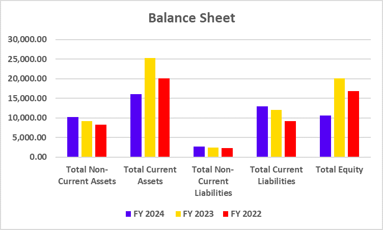 Balance Sheet of Hyundai Motor India