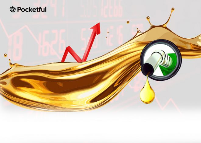 Case Study of Petrol & Diesel Price History in India