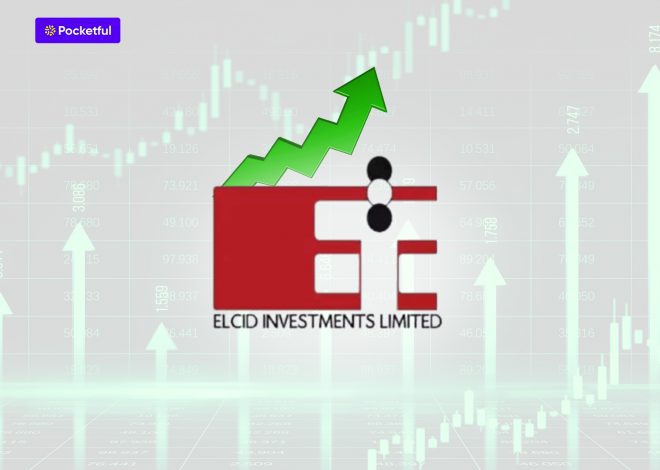 Elcid Investments – India’s Costliest Stock: From INR 3 to INR 2,36,250 – Share Price History