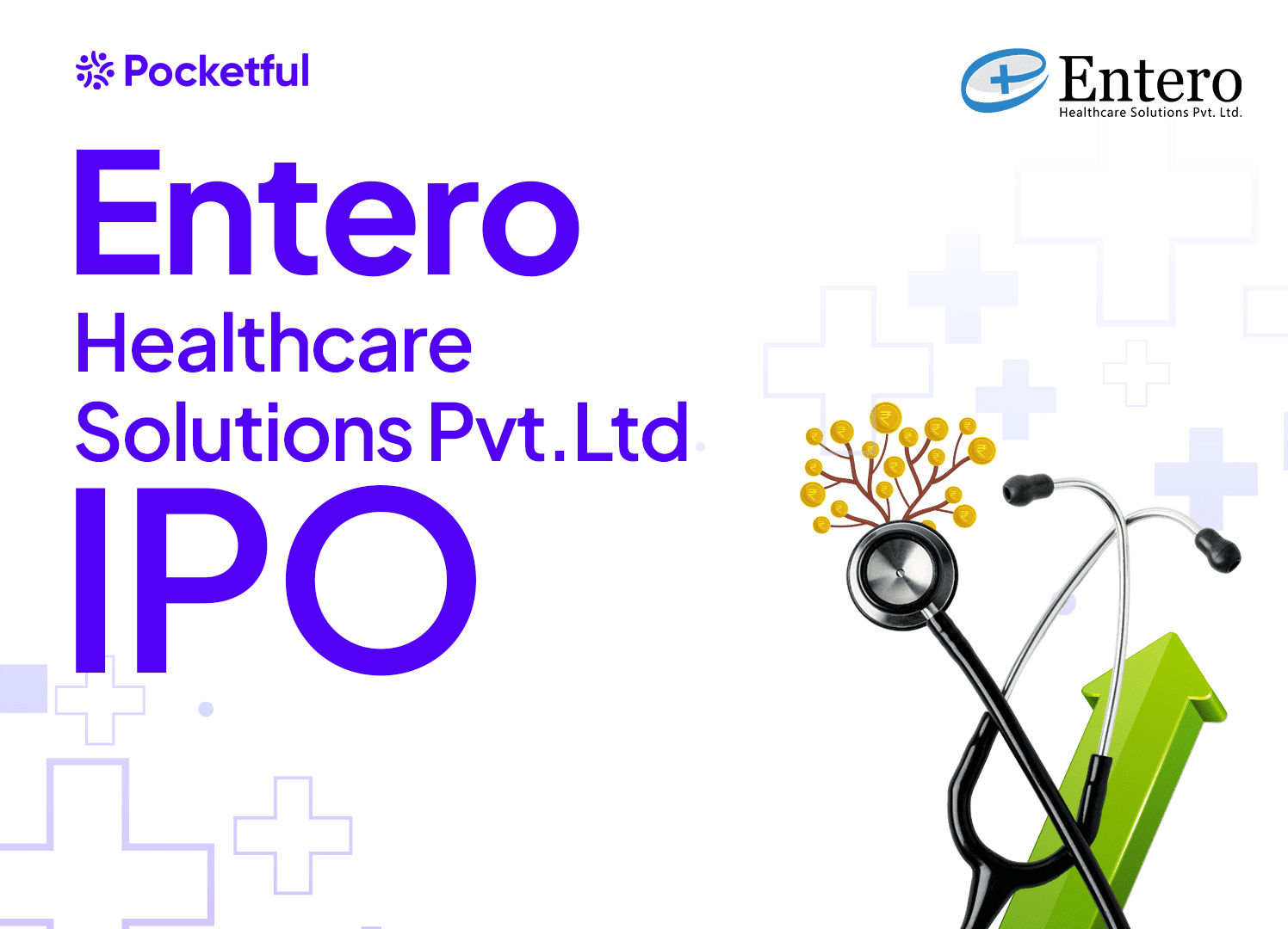 IPO Alert: Entero Healthcare Solutions Limited (EHSL) - Pocketful