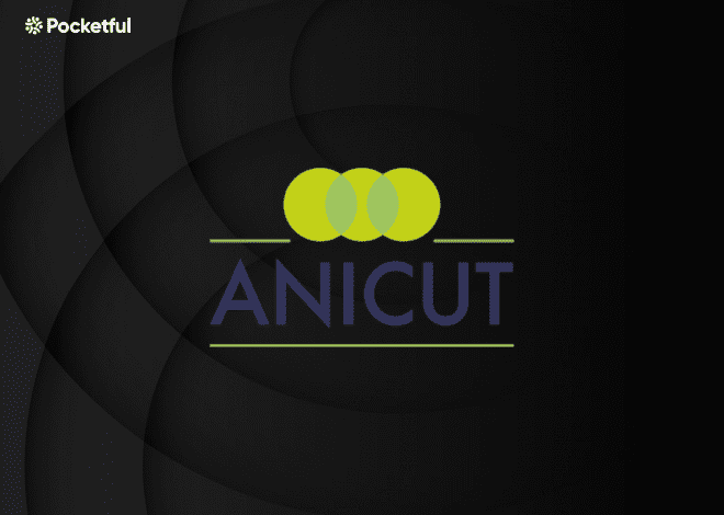 Anicut Capital Secures $11 million in Dollar-Denominated Investments